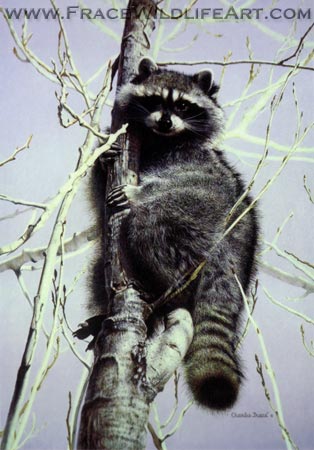 Bandit