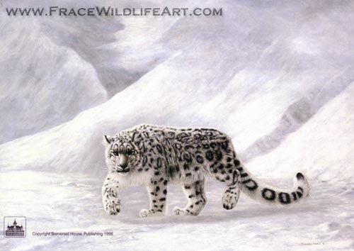 Gray Ghost
