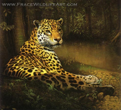 Jaguar