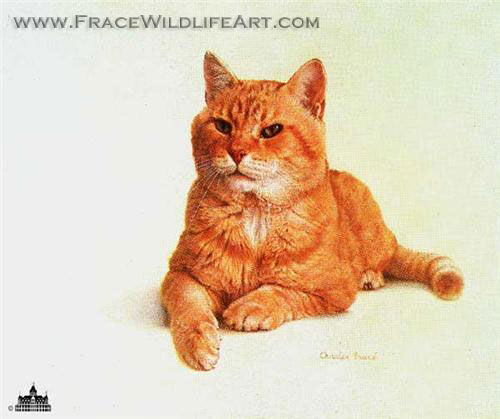 Morris The Cat
