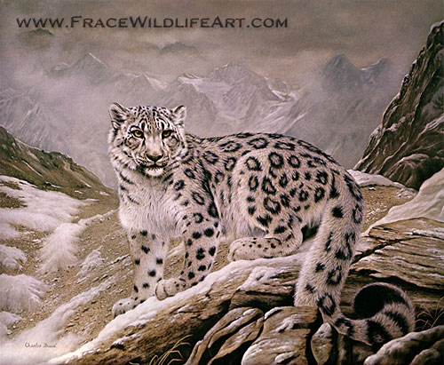 Snow Leopard