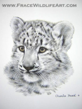 Snow Leopard Cub (Mini)