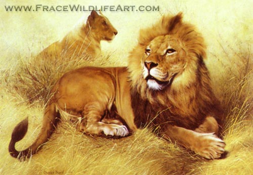 The Lions