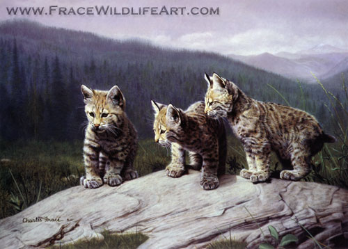 Three of a Kind